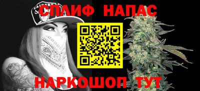 сатива Кинель
